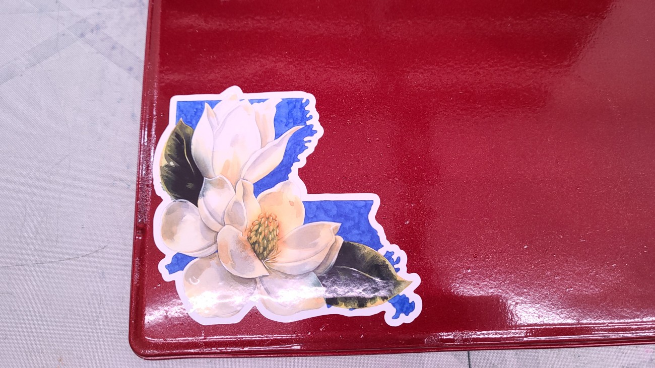A static cling decal of a magnolia set in Louisiana.