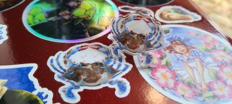 A pinback acrylic blue crab