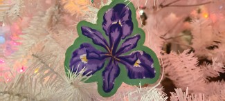 Louisiana iris ornament on a white Christmas tree